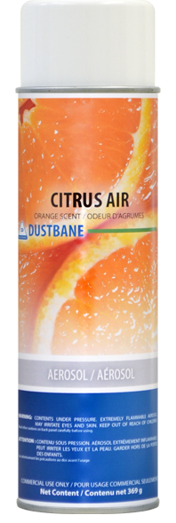 Dustbane® Citrus Air™ Air Freshener, Deodorizer, Orange Scent, 369g